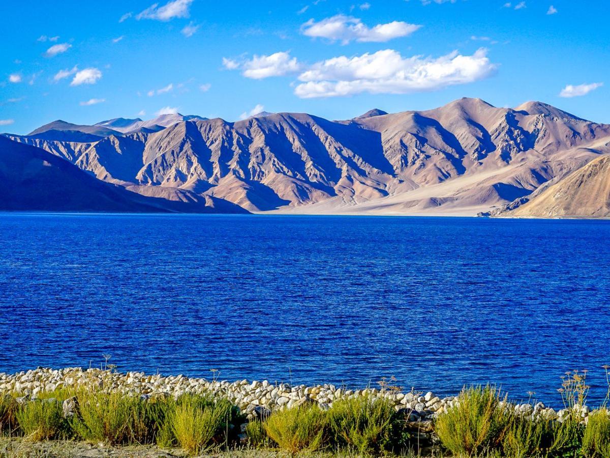 Astrostays At Pangong Spangmik Ngoại thất bức ảnh